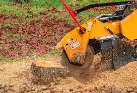 Best Lawn Disease Treatment  in Arcola, IL
