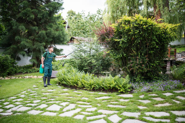 Best Tree Health Inspection  in Arcola, IL
