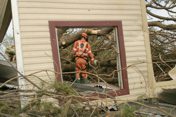 How Our Tree Care Process Works  in  Arcola, IL