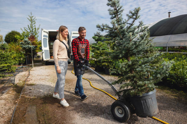 Best Tree Mulching  in Arcola, IL